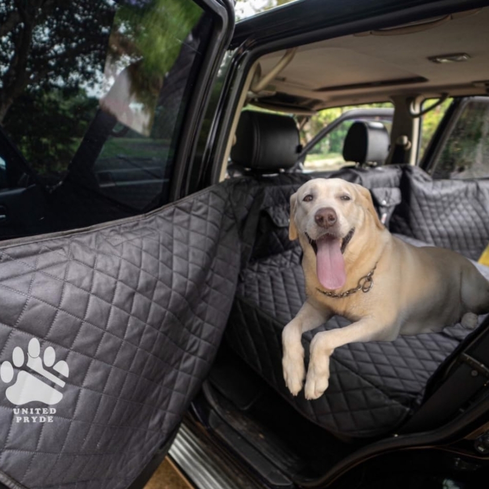 Premium Back Seat Cover for Dogs